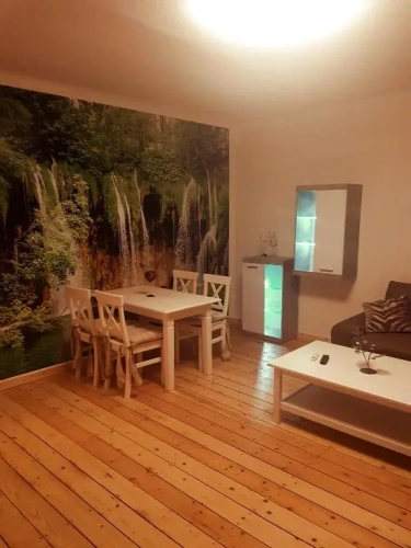 Basement Apartment