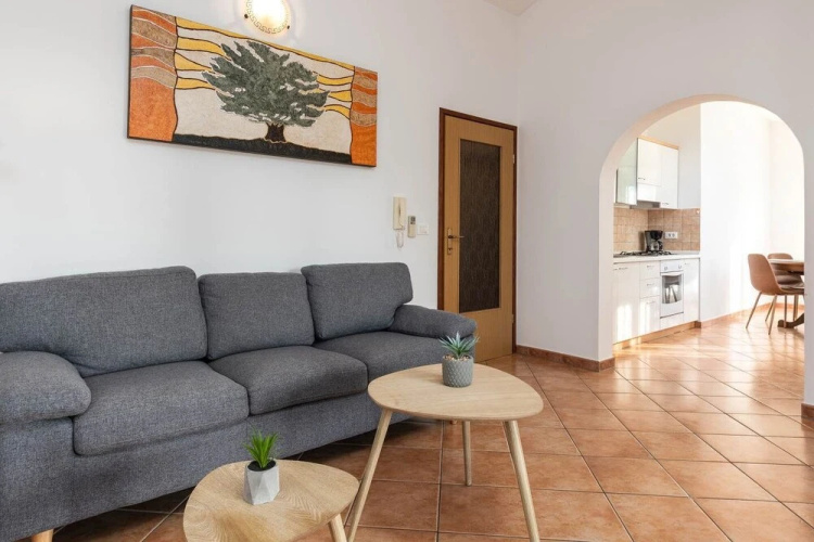 Apartmani Saladinka