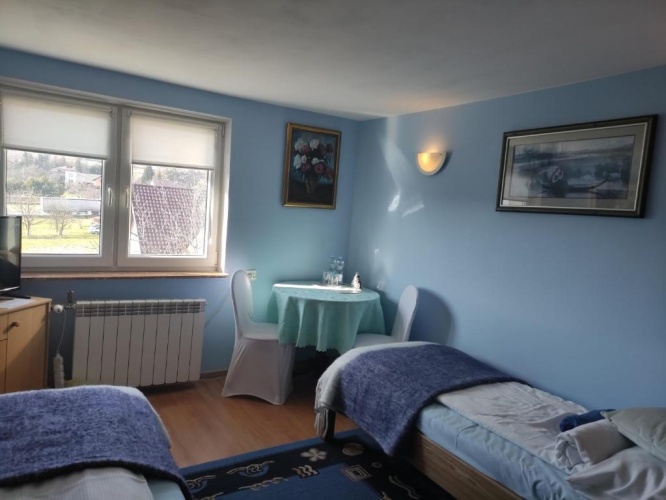 Standard Double room with garden view