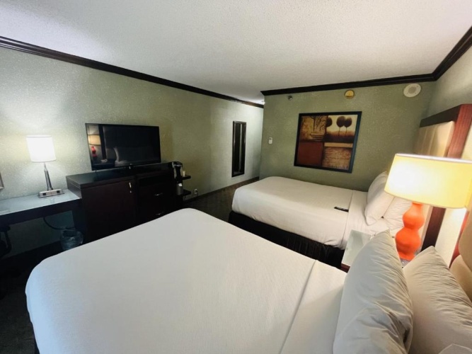Twin room