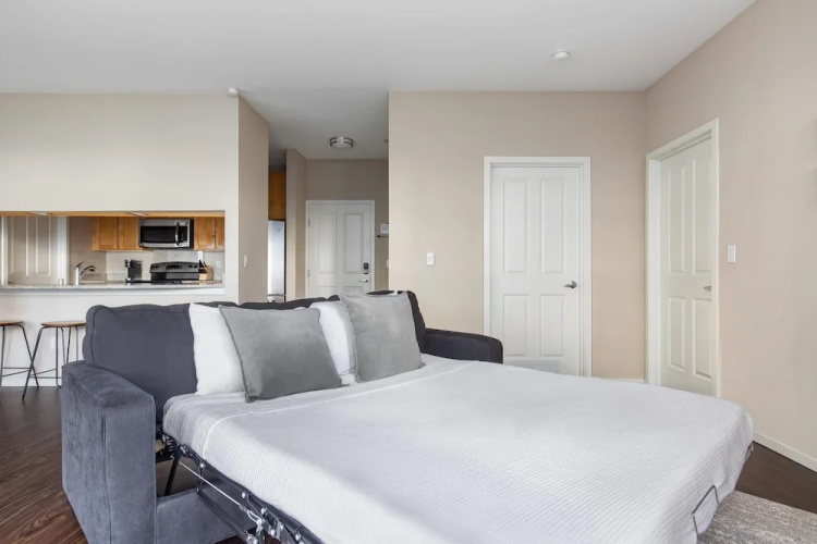 Bellevue Designer 1BD Plus Den 1BA Apartment