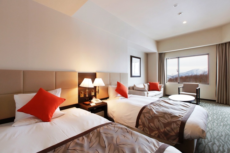 Standard Twin room with balcony and with view