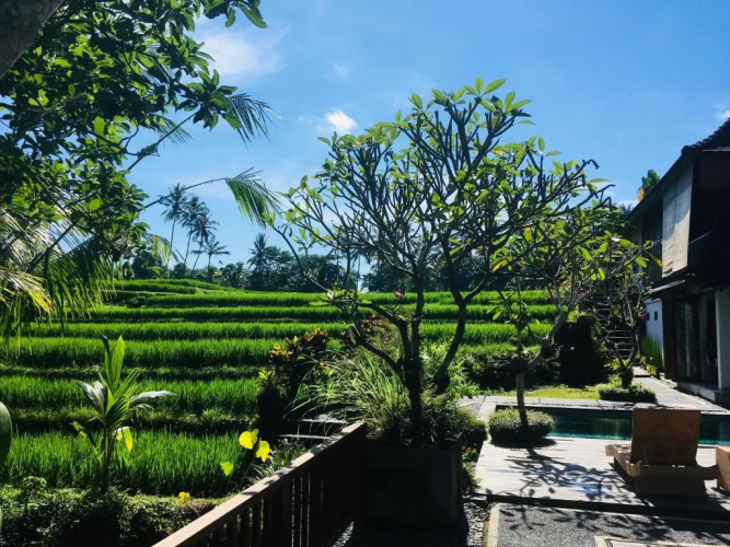 Puri Raya Villa Ubud