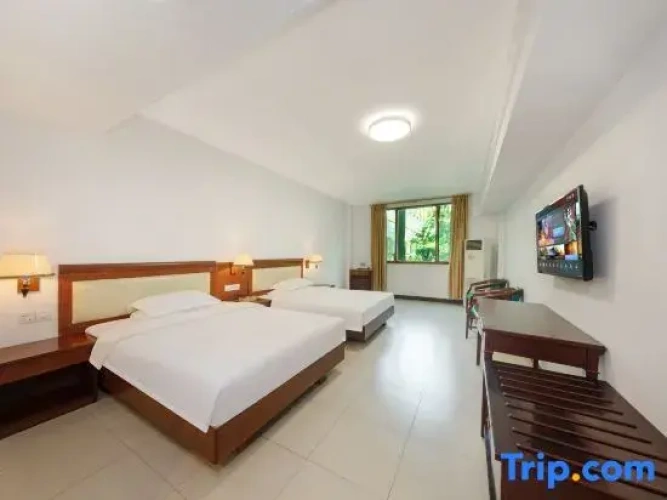 Standard Twin room with garden view