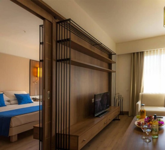 Luxury room