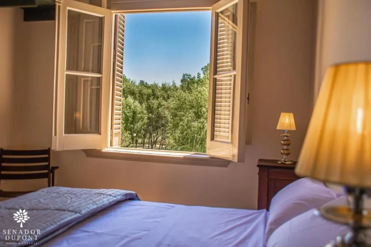 Standard Double room with garden view
