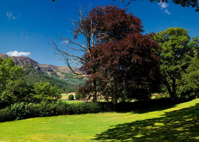 Standard Double room with mountain view