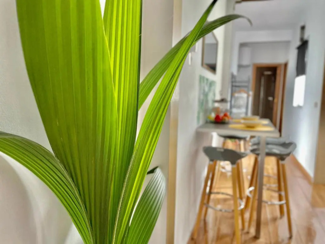 Apartamentos Puerta Real Sevilla