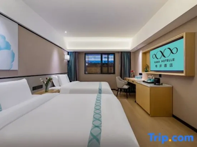Standard Twin Family room