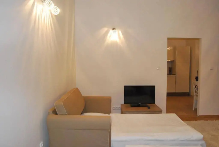 Apartment Hybernska
