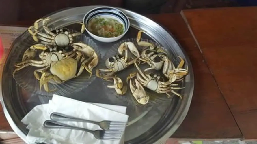 Meal