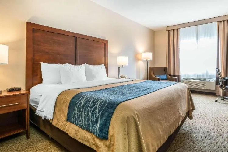 Standard Double Basement room