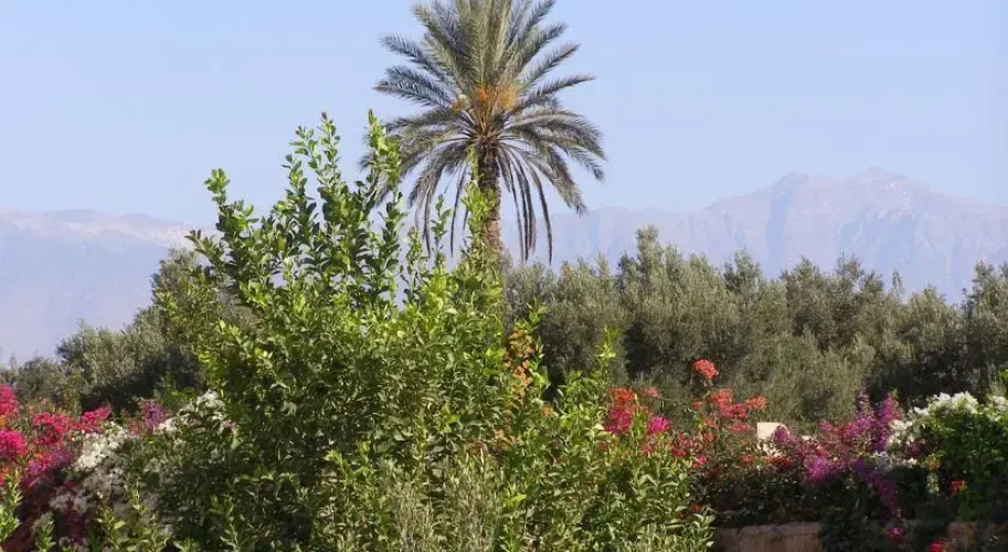 Dar Alawan