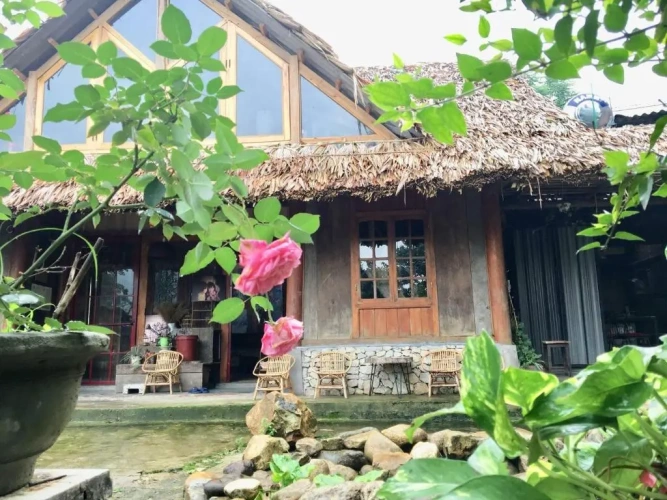 Standard Double room with garden view