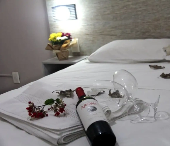 Executive Apartment