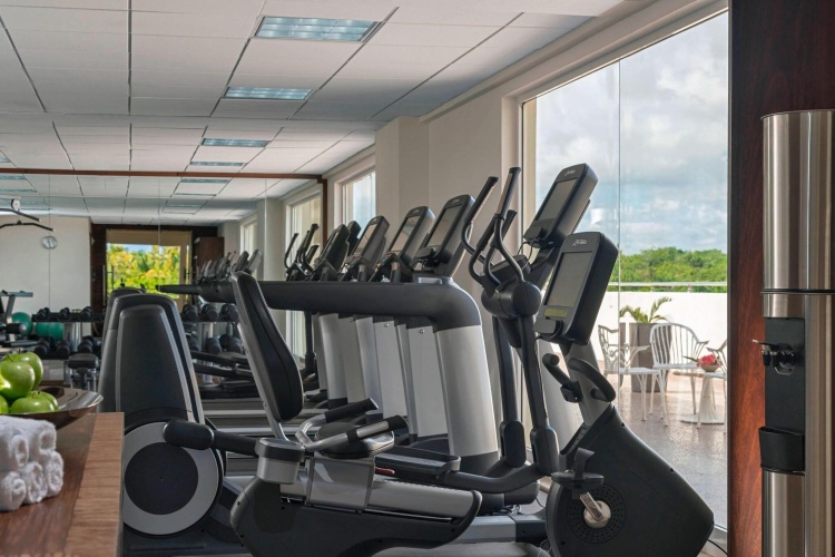 The Westin Puntacana Resort and Club photo 26