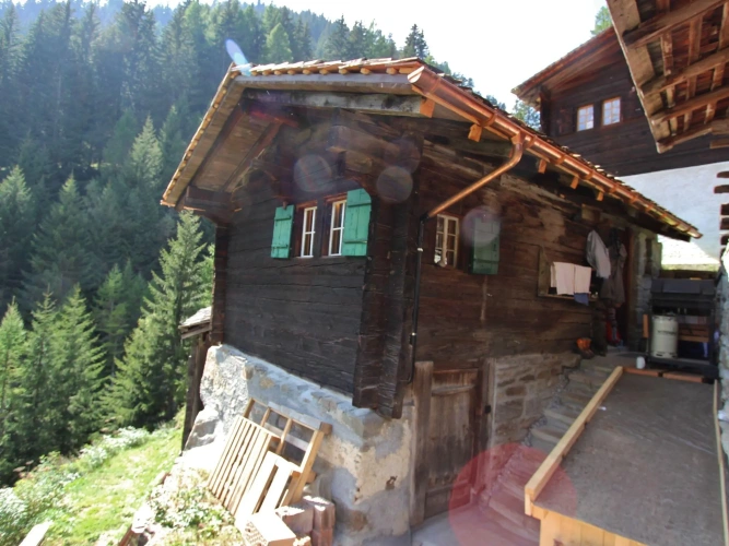 Cottage