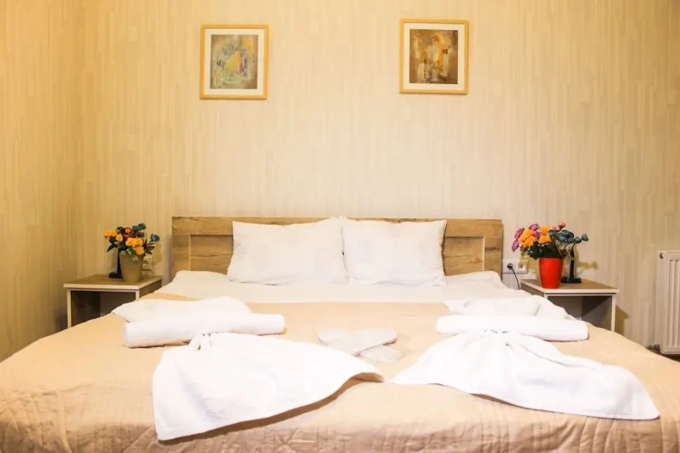 Standard Twin room with view