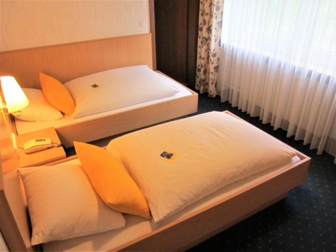 Superior Twin room with garden view