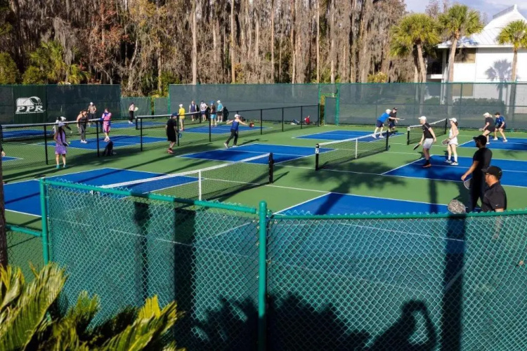 Saddlebrook Resort Tampa photo 22