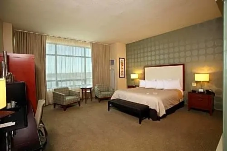 1 Bedroom Suite