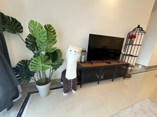 2 Bedrooms Classic Apartment