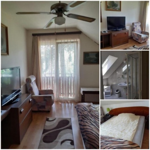 Standard Double room with view