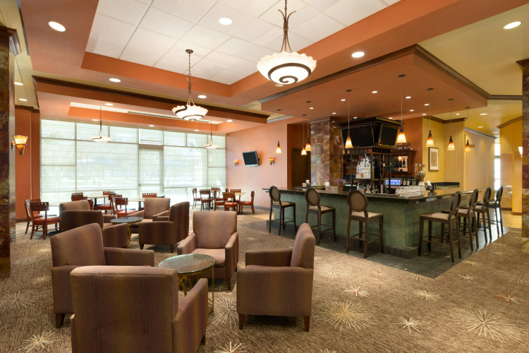 Embassy Suites by Hilton Dallas Frisco Hotel & Convention Ce photo 35