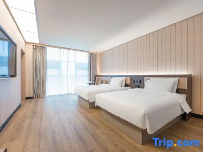 Twin Suite