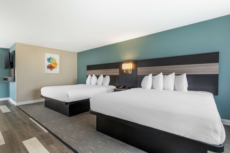 Quadruple Suite