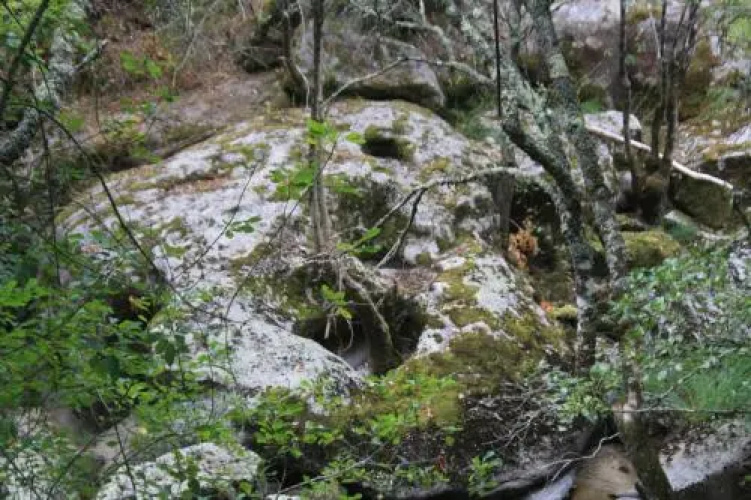 Retiro Da Arminda