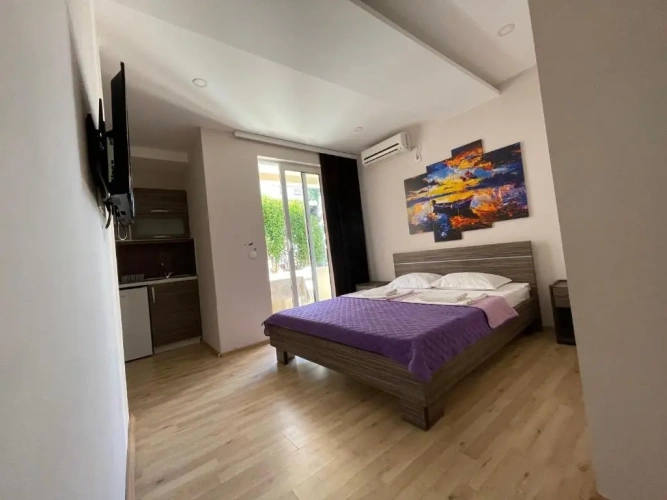 1 Bedroom Apartment with balcony and with view
