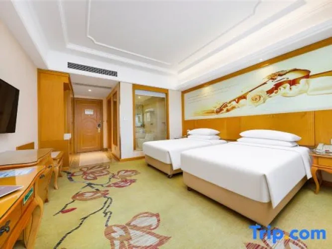 Deluxe Double room with city view