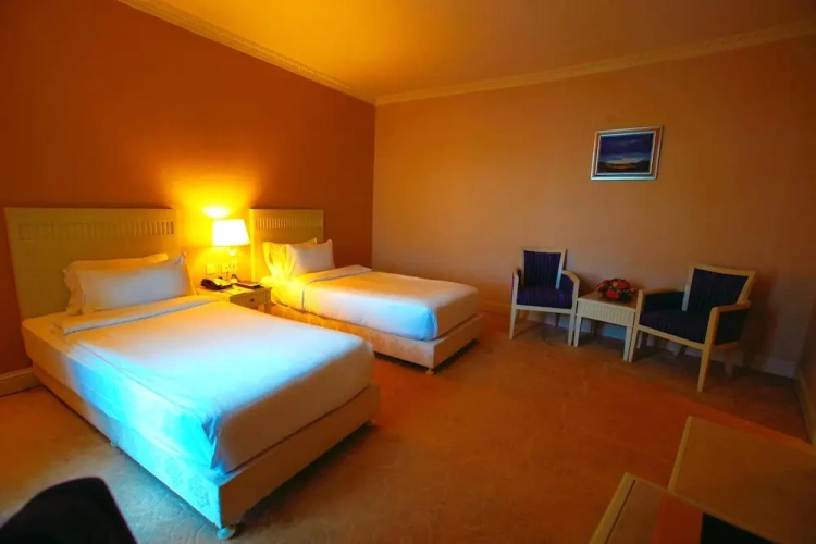 Standard Twin room with balcony