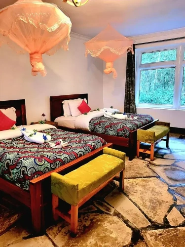 Standard Double room with balcony and with mountain view