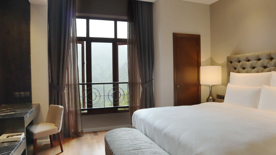 1 Bedroom Suite