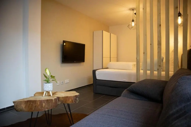 1 Bedroom Apartment