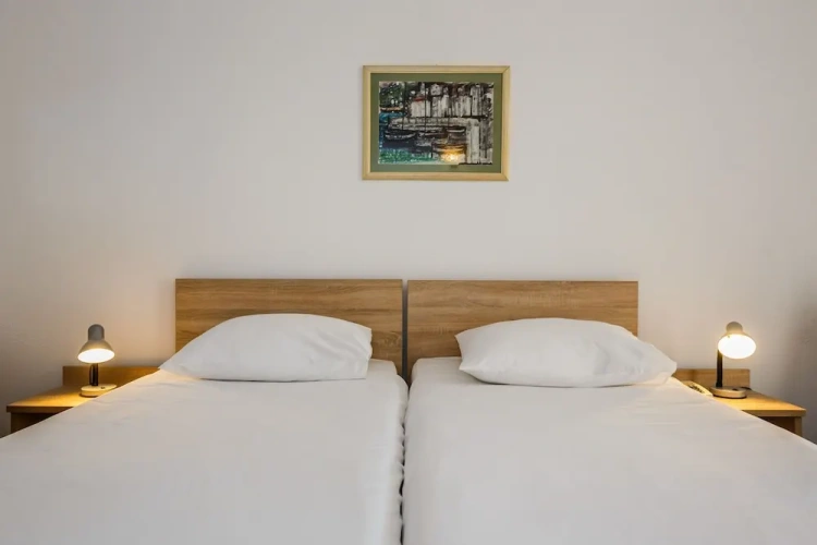 Standard Double room with balcony and with park view
