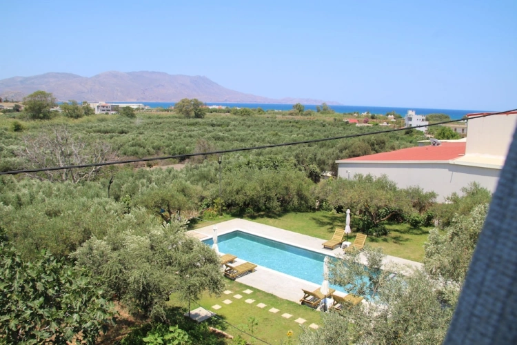 Economy Double room with balcony and with pool view