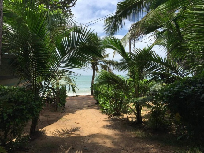 Beach