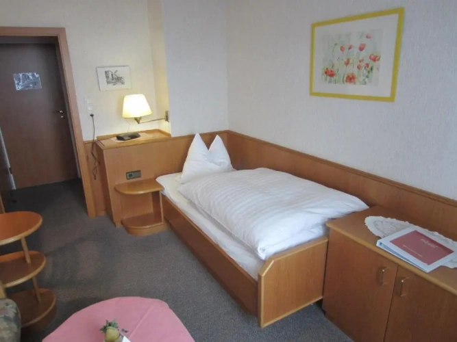 Standard Single room with land view