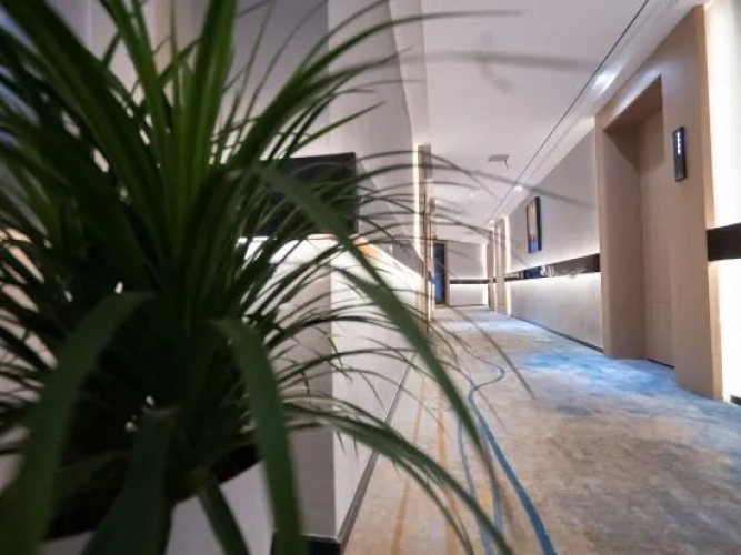 Hotel rooms