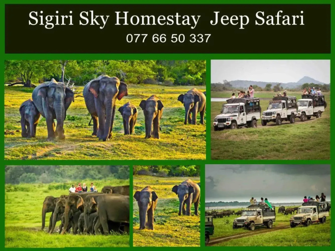 Sigiri Sky Home & Tree House
