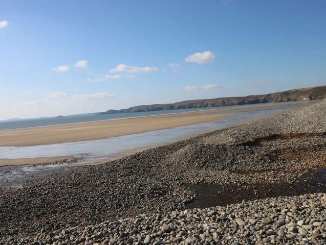 Driftwood