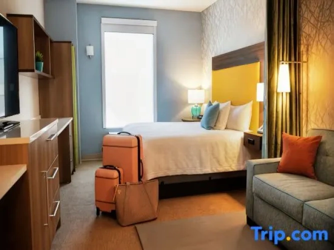 1 Bedroom Suite