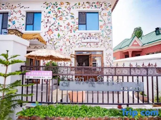 Turks Pacifier Elephant Homestay