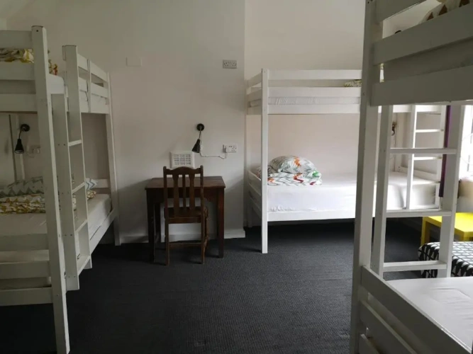 Bed in Dorm