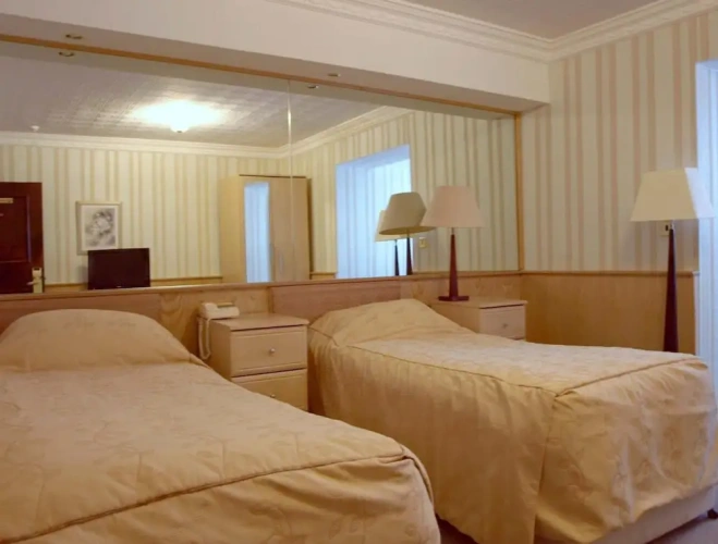 Deluxe Twin room