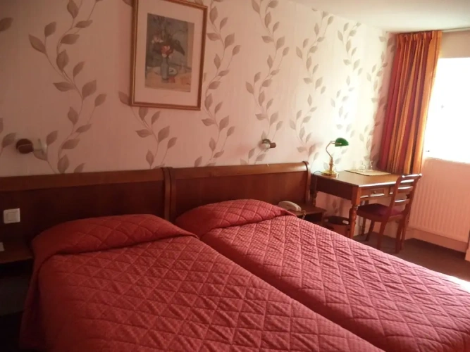 Standard Twin room with park view