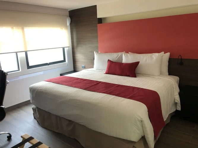 Superior Double Suite